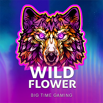 Wild Flower
