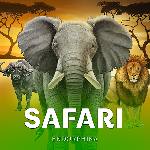 Safari