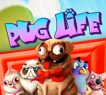 Pug Life