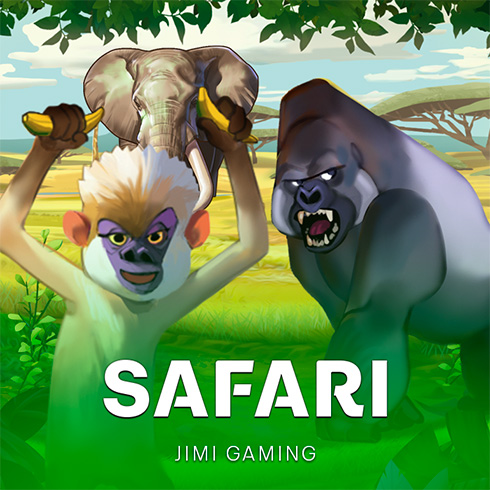 Safari