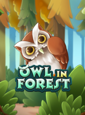 Owl In Forest