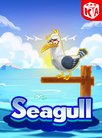 Seagull
