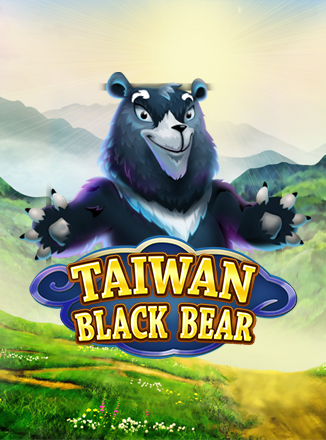 Taiwan Black Bear