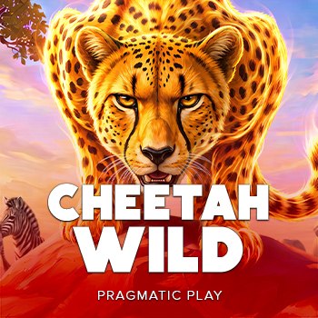 Cheetah Wild