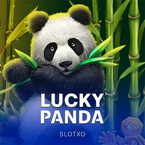 Lucky Panda