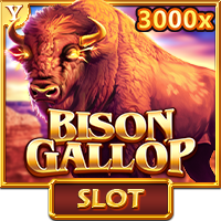 Bison Gallop